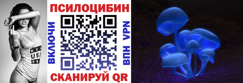 Псилоцибиновые грибы Psilocybine cubensis  Бежецк 